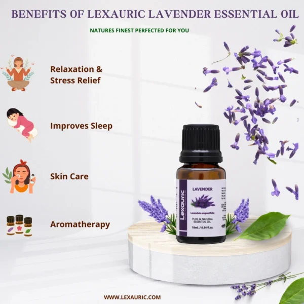 Lavender 1